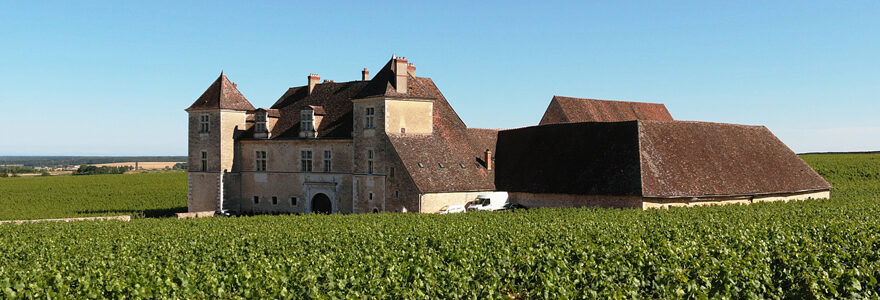 domaine viticole en Bourgogne